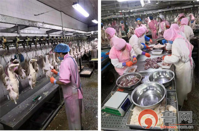 德州禹城市伦镇 “四个强化”筑牢餐饮安全防线，守护群众“舌尖上的安全”